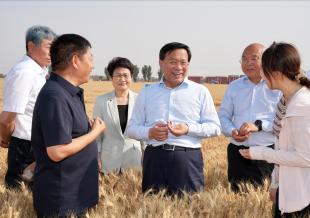 韩俊在河南河北调研时强调 扎实推进粮油作物大面积单产提升行动 全力以赴夯实全年粮食丰收基础