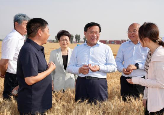 韩俊在河南河北调研时强调 扎实推进粮油作物大面积单产提升行动 全力以赴夯实全年粮食丰收基础